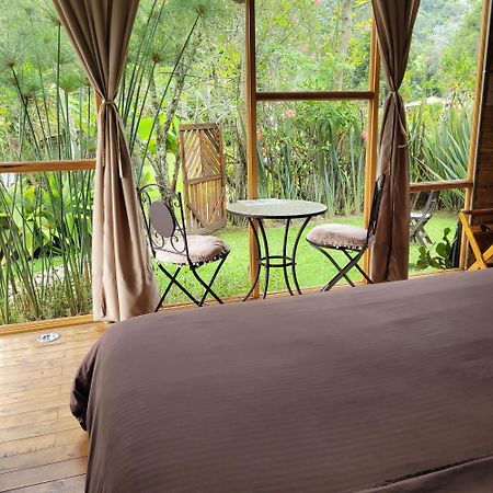 Exclusivo Cocora Con Jacuzzi Salento Quindio Villa Ngoại thất bức ảnh