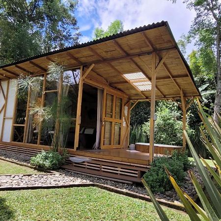 Exclusivo Cocora Con Jacuzzi Salento Quindio Villa Ngoại thất bức ảnh