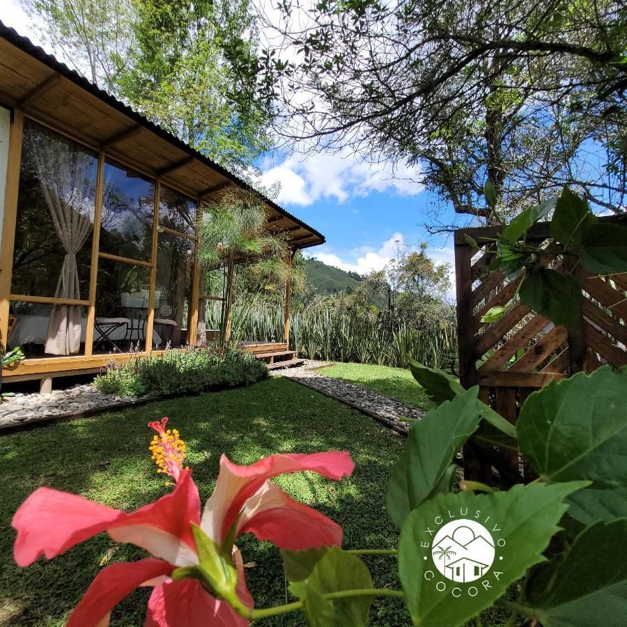 Exclusivo Cocora Con Jacuzzi Salento Quindio Villa Ngoại thất bức ảnh