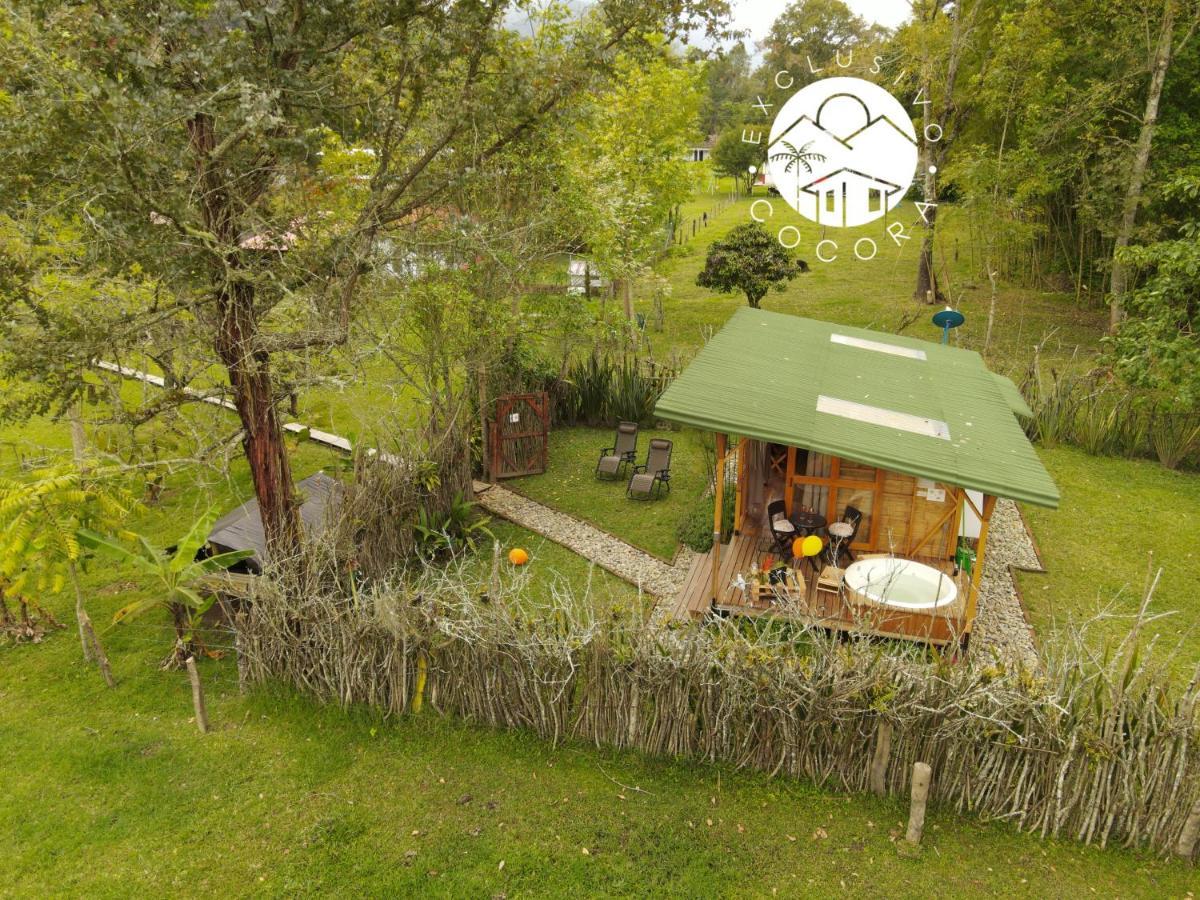 Exclusivo Cocora Con Jacuzzi Salento Quindio Villa Ngoại thất bức ảnh