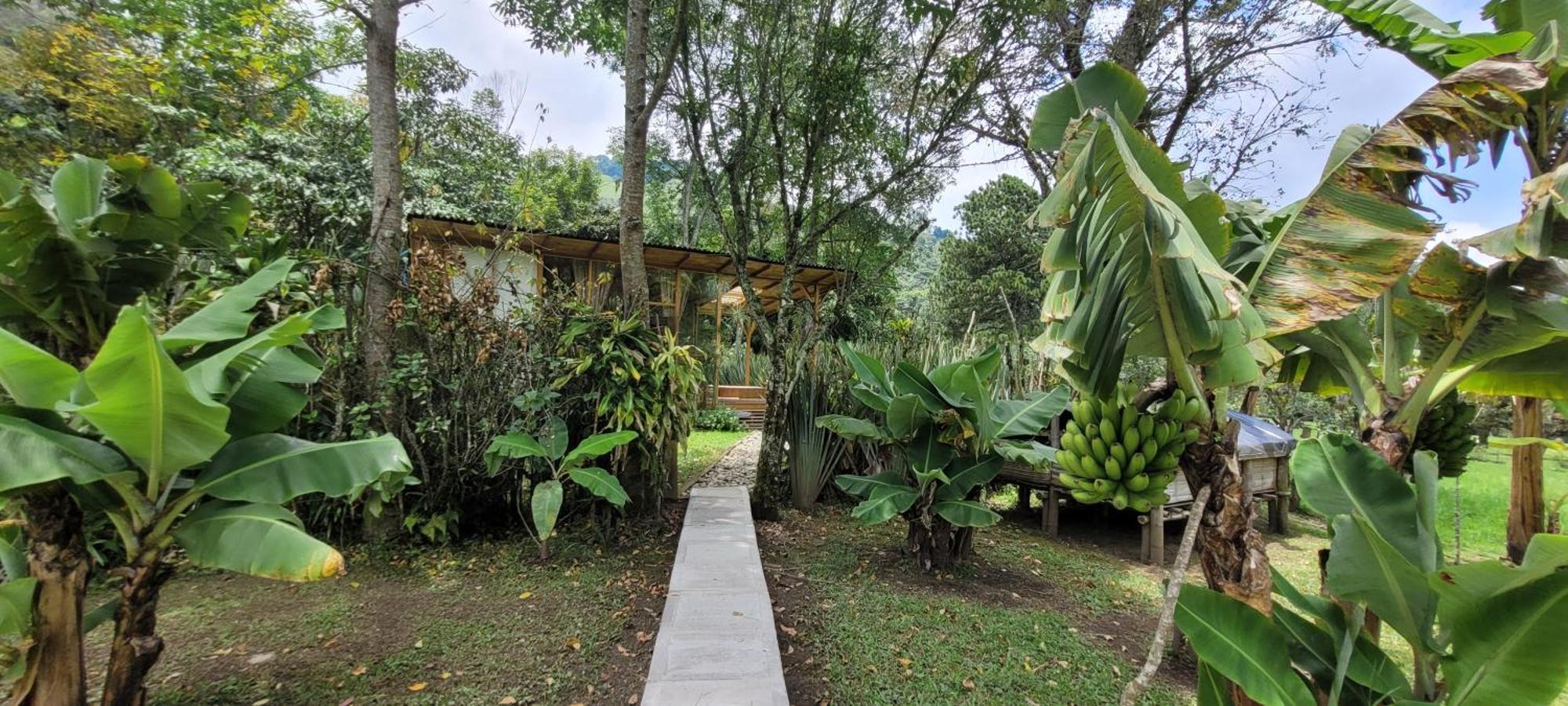 Exclusivo Cocora Con Jacuzzi Salento Quindio Villa Ngoại thất bức ảnh