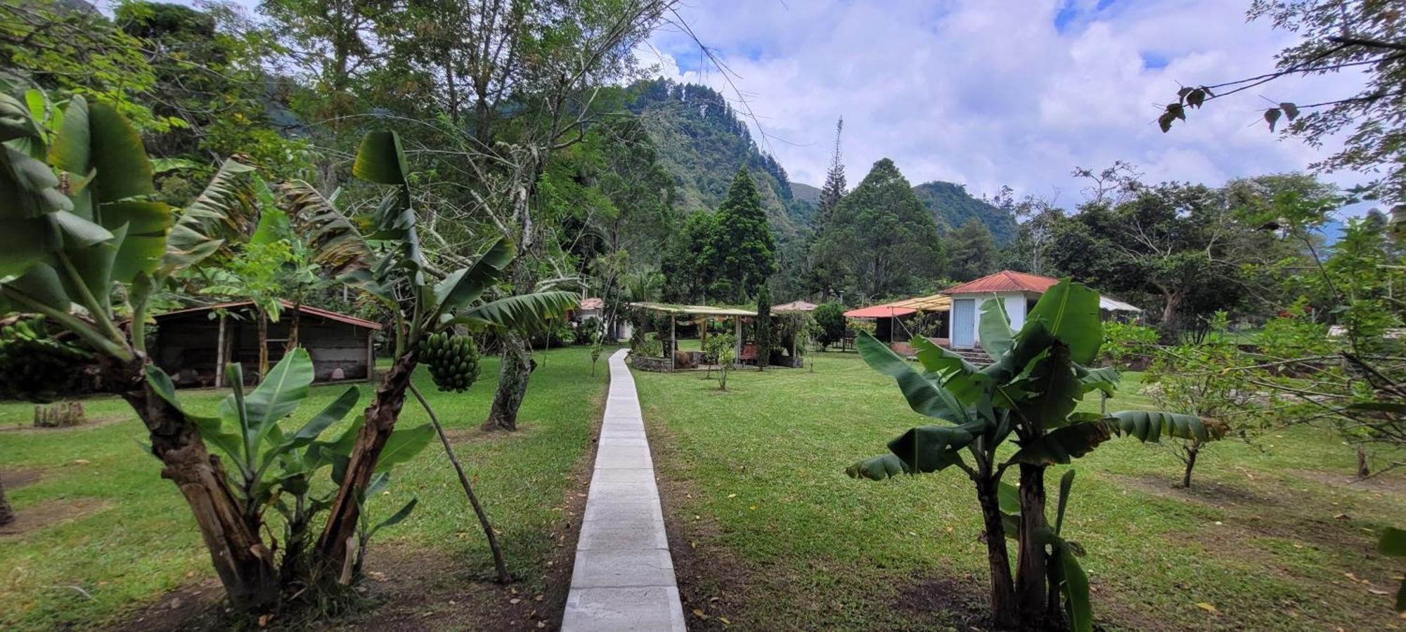 Exclusivo Cocora Con Jacuzzi Salento Quindio Villa Ngoại thất bức ảnh