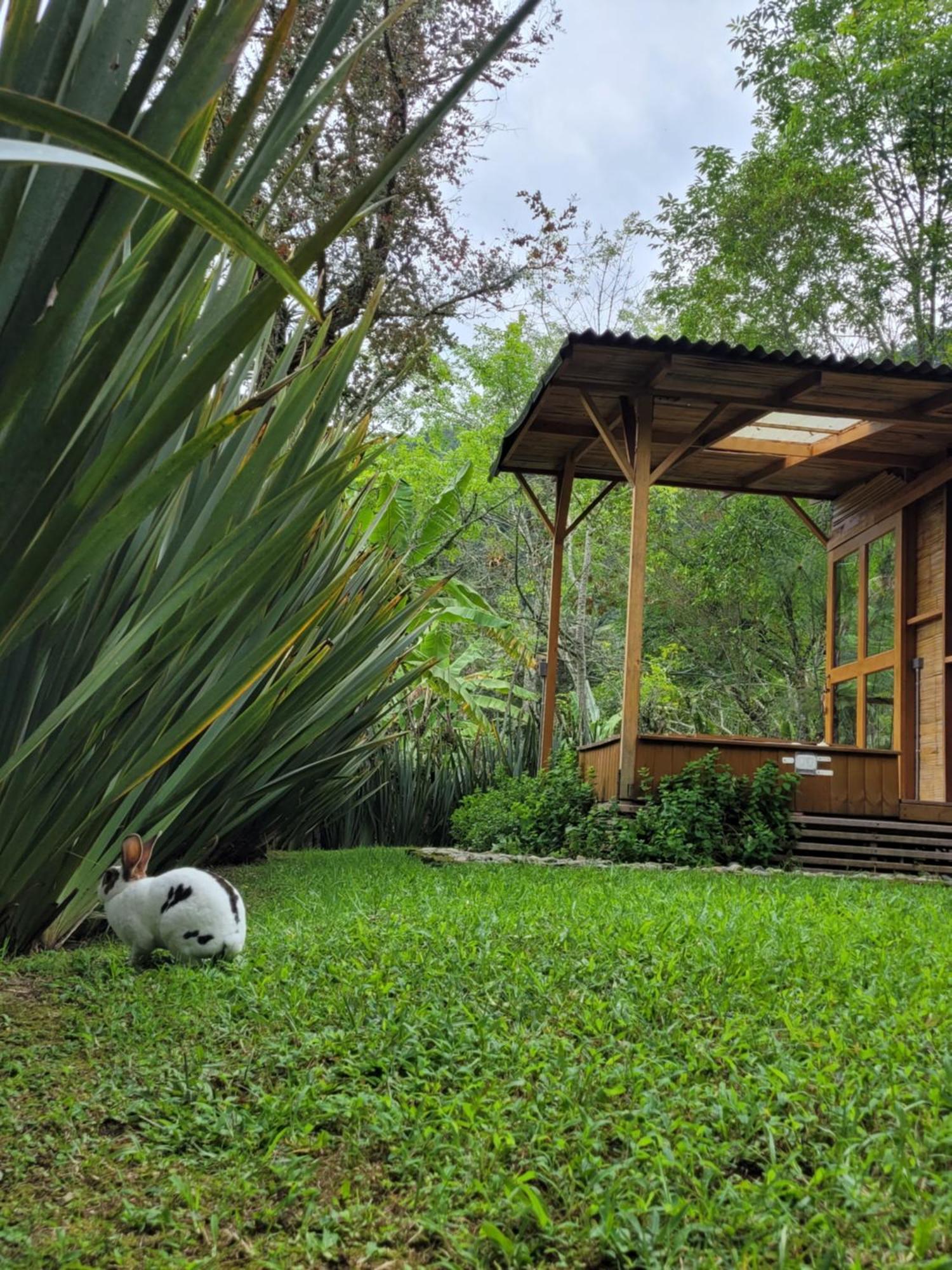 Exclusivo Cocora Con Jacuzzi Salento Quindio Villa Ngoại thất bức ảnh